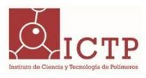 ICTP INSTITUTO DE CIENCIA Y TECNOLOGIA DE POLIMEROS