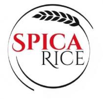 SPICA RICE
