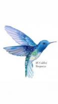 Mi Colibrí Turqueza