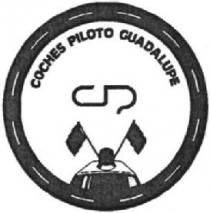 COCHES PILOTO GUADALUPE
