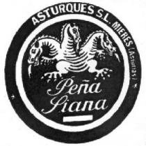 PEÑA SIANA ASTURQUES S.L. MIERES (ASTURIAS)