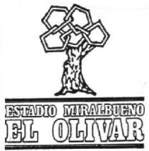 ESTADIO MIRALBUENO EL OLIVAR