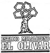 ESTADIO MIRALBUENO EL OLIVAR