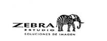 ZEBRA ESTUDIO SOLUCIONES DE IMAGEN