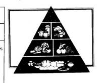 PIRAMIDE LA DIETA GUIA PARA LA ELECCION DIARIA DE LA COMIDA