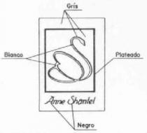 ANNE SHANTEL