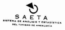 SAETA SISTEMA DE ANALISIS Y ESTADISTICA DEL TURISMO DE ANDALUCIA