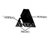A ANGULO