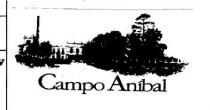 CAMPO ANIBAL