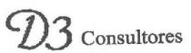 D3 CONSULTORES