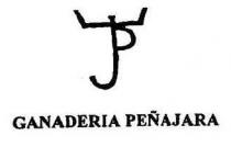 PJ GANADERIA PEÑAJARA