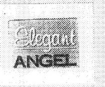 ELEGANT ANGEL