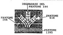 ESPIGA DORADA