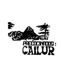 PRECOCINADOS: GAILUR