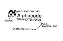 ALPHACODE TRABAJO TEMPORAL LA MEJOR ELECCION