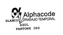 ALPHACODE TRABAJO TEMPORAL LA MEJOR ELECCION