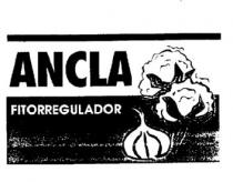 ANCLA FITORREGULADOR