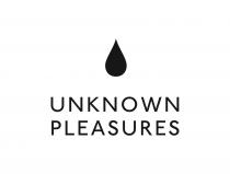 UNKNOWN PLEASURES