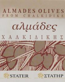 ALMADES OLIVES FROM CHALKIDIKE ΑΛΜΑΔΕΣ ΧΑΛΚΙΔΙΚΗΣ ΣΤΑΤΗΡ STATER