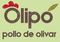 OLIPÓ POLLO DE OLIVAR