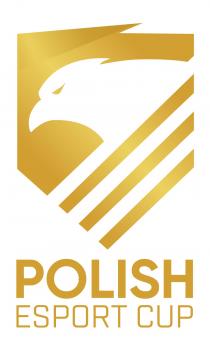 POLISH ESPORT CUP