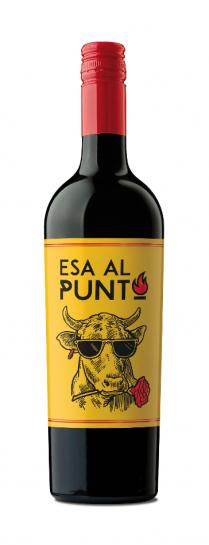 ESA AL PUNTO