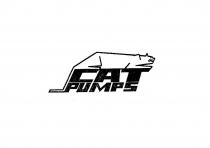 CAT PUMPS