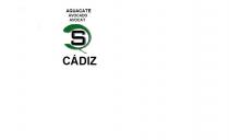 AGUACATE AVOCADO AVOCAT QS CADIZ