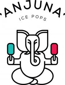 ANJUNA ICE POPS