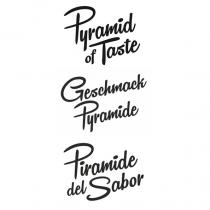 Pyramid of Taste Geschmack Pyramide Piramide del Sabor