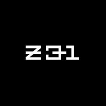 Z31
