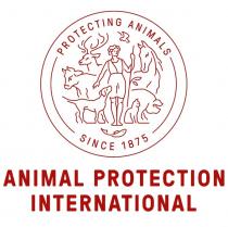 Protecting Animals Since 1875 Animal Protection International