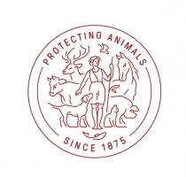 Protecting Animals Since 1875