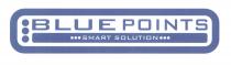 BLUE POINTS SMART SOLUTION