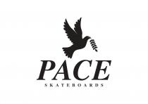PACE SKATEBOARDS