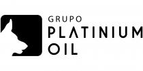GRUPO PLATINIUM OIL