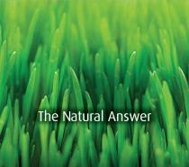 The Natural Answer