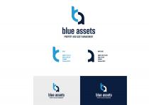 Blue Assets Property and Asset Management