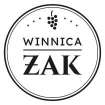 WINNICA ŻAK