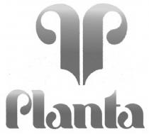 PLANTA