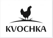 KVOCHKA