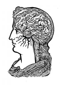 WISDOM LOVE WILL SPINALIS Inspiration Smell Taste Amity Ring Reason mem . Light Faith Love Dignity Shoulders Tr . Arms Devotion Lungs Mouth . Speech a Parenity . walking -HORE Legs sex - organs Caressing Lungs Heart ! mas Intesting Heat ! Ear SyHearing Auras, Reverence Eye - Mus Caution Nose Touer Hepatic Defence Locomotion Thighs