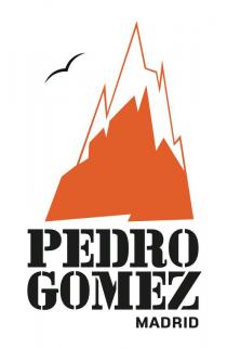 PEDRO GOMEZ MADRID