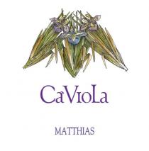 CàViola MATTHIAS