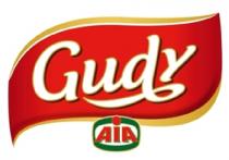 GUDY AIA