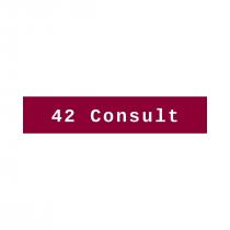 42 Consult