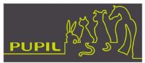 PUPIL