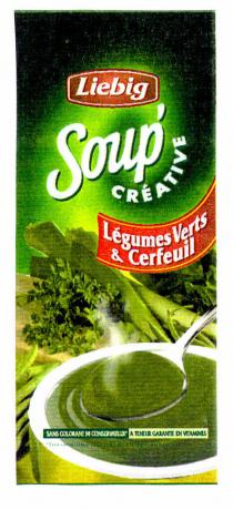 Liebig Soup' CRÉATIVE Légumes Verts & Cerfeuil
