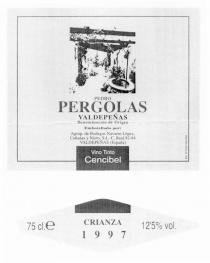 PEDRO PERGOLAS Vino Tinto Cencibel VALDEPEÑAS 75 cl CRIANZA 1997 12,5% vol.