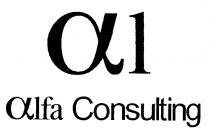 a1 alfa Consulting